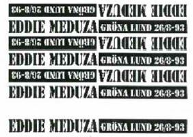 Gröna Lund  26/8-93