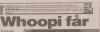 aftonbladet 1994 03 21 ny skiva